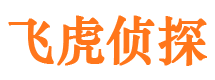 东方寻人公司